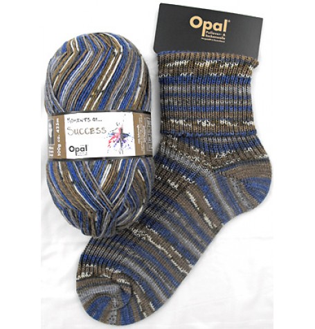 Opal Moments of Success Sock Yarn 